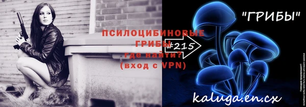 mdpv Каменка