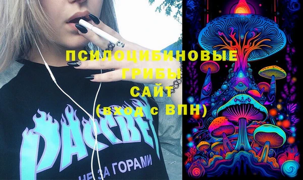 таблы Каменногорск