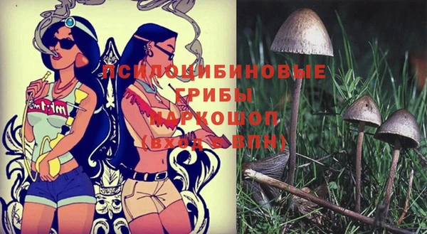 таблы Каменногорск